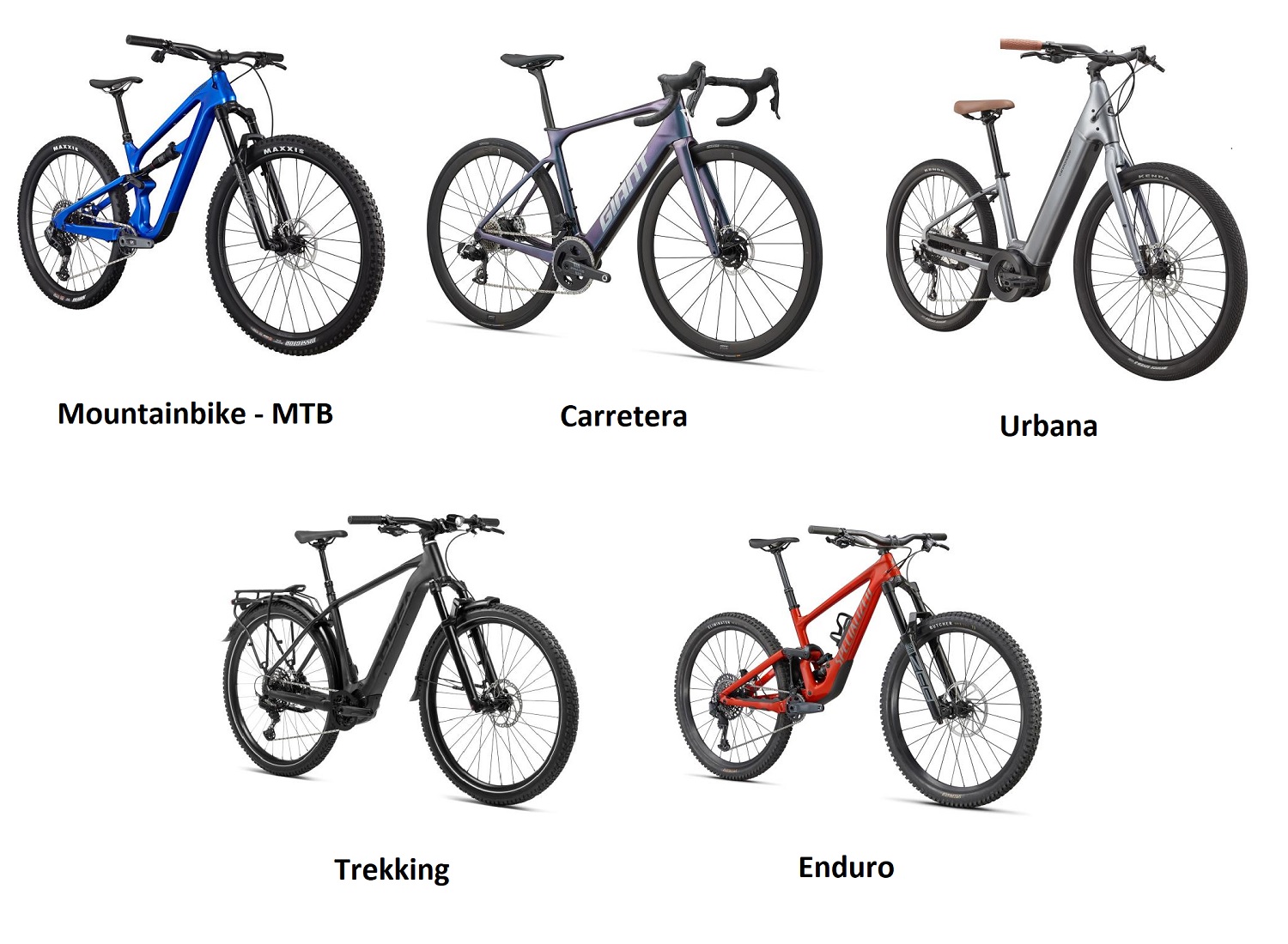 tipos de ebikes